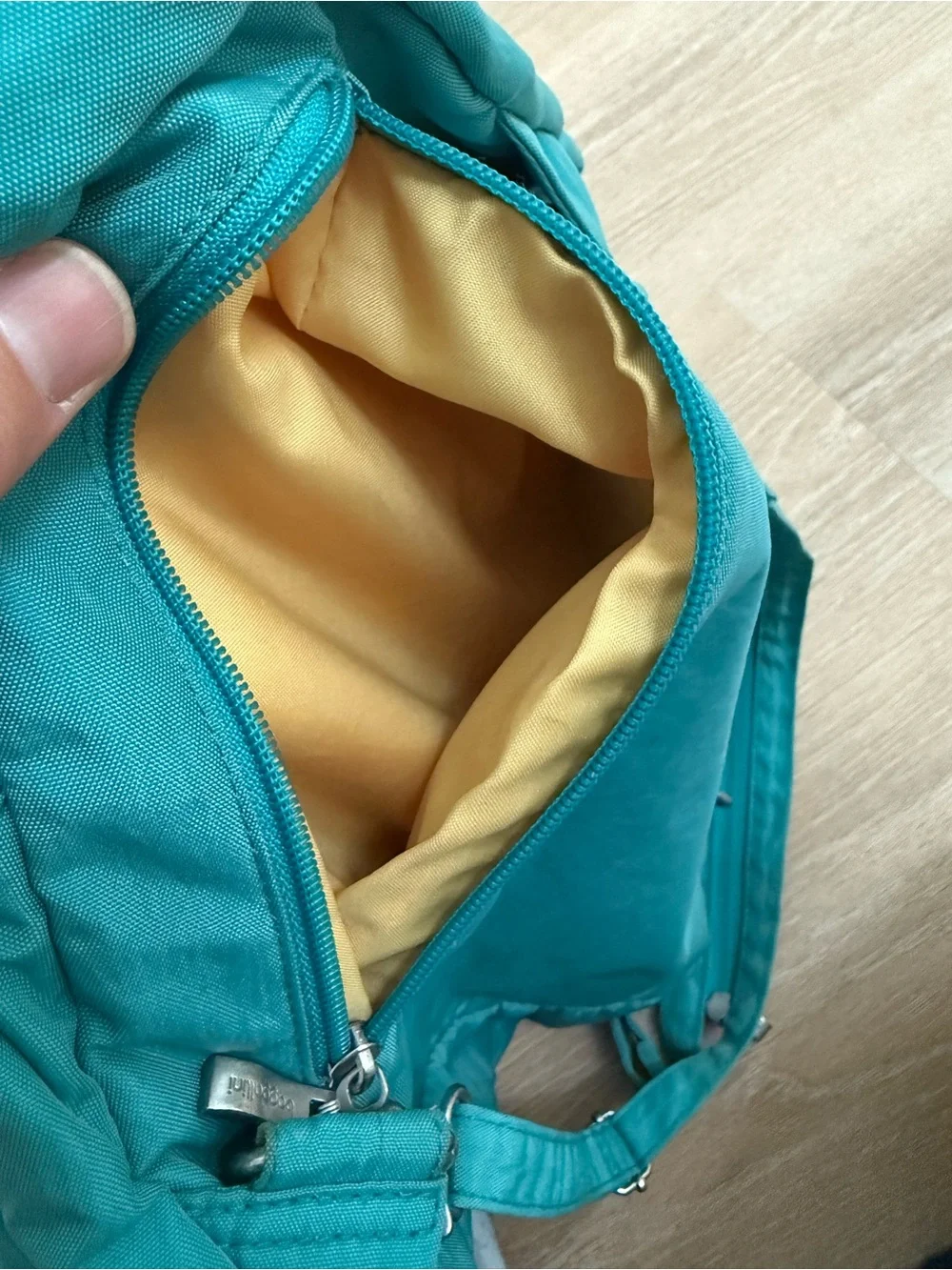Baggallini Excursion Sling Rare Teal Color Convertible Crossbody to Backpack